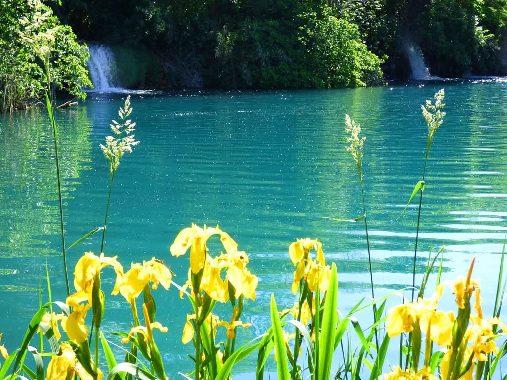Croatia in Summer: Where to Go and How to Handle the Crowds