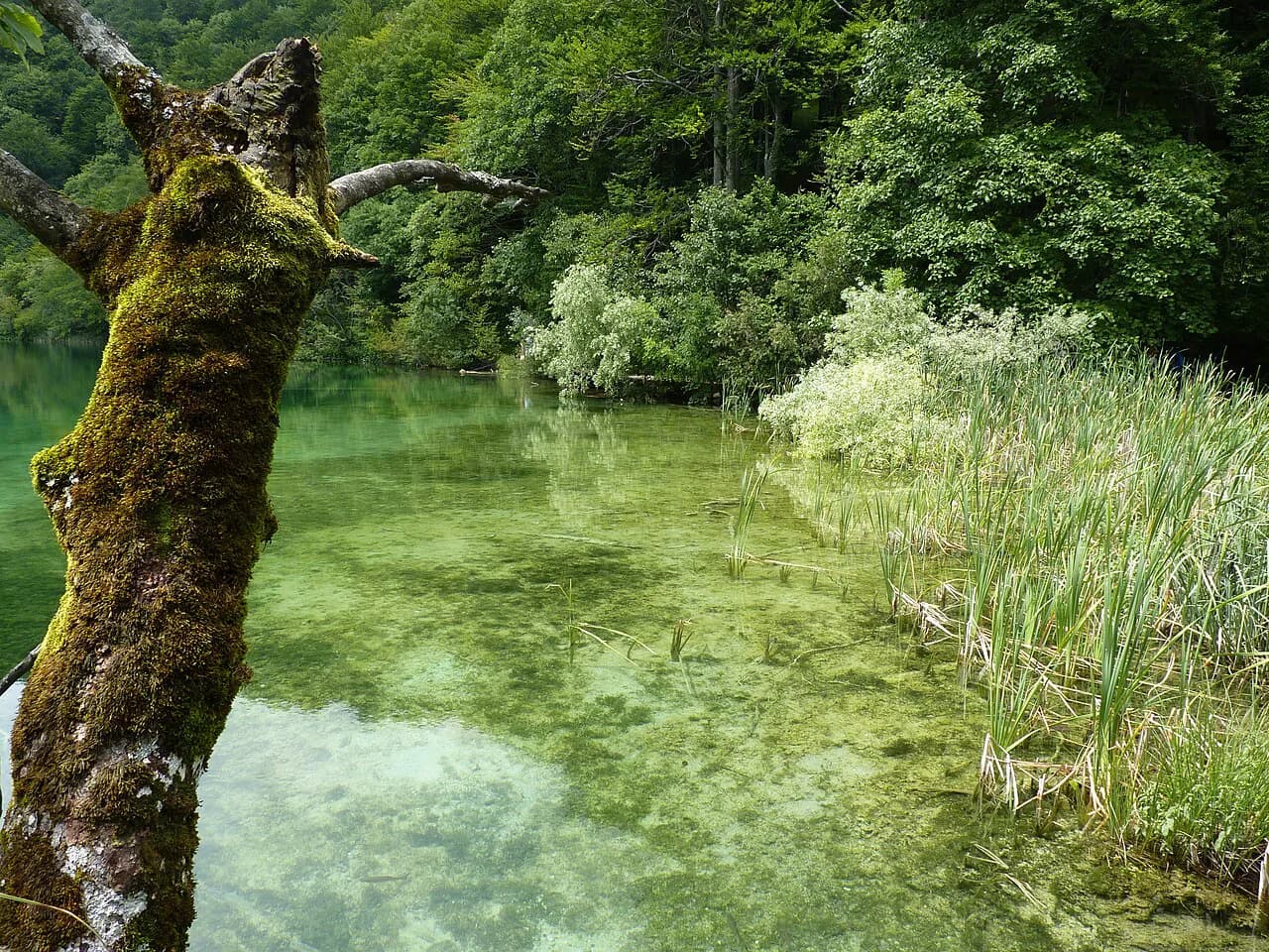 Plitvice Lakes Map: Which Entrance & Route to Choose