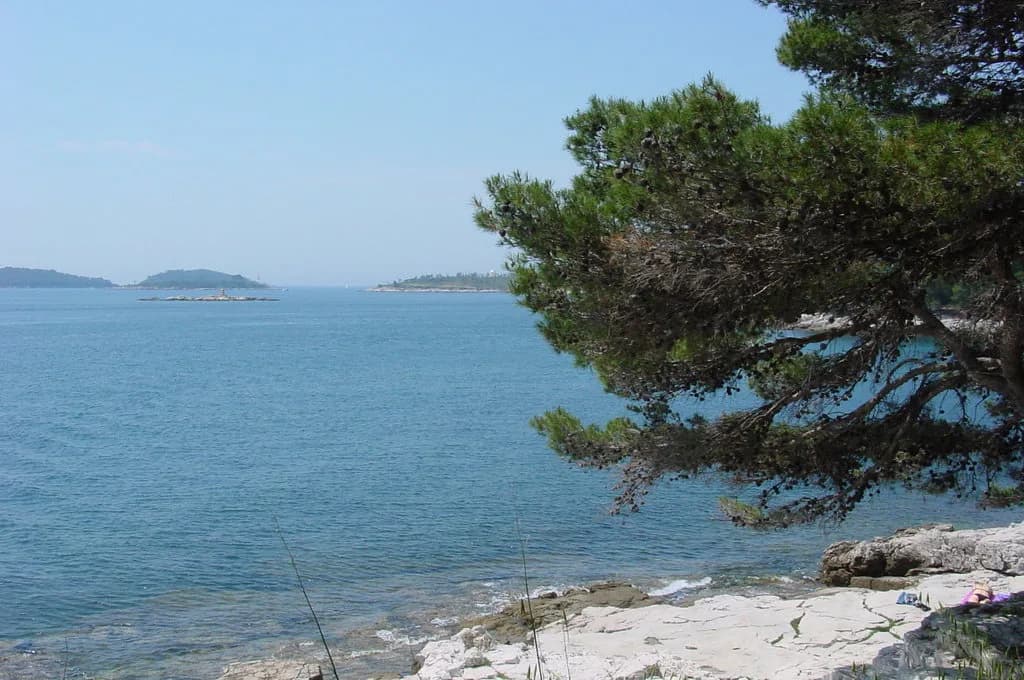 Zlatni rt (Golden Cape) Rovinj: Forest Park Guide
