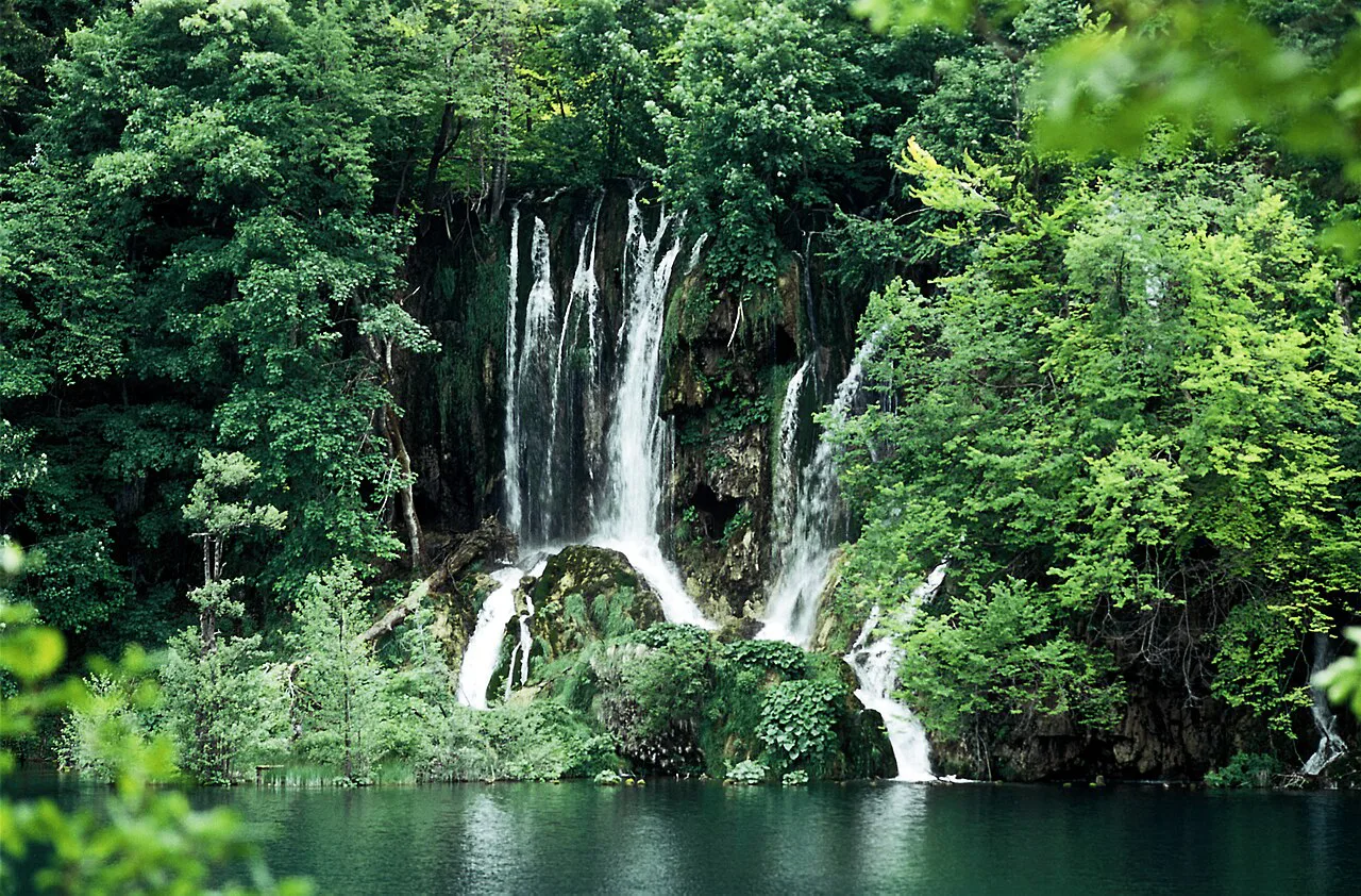Waterfalls pouring through green woodland at the Galovac barrier in Plitvice Lakes, Croatia