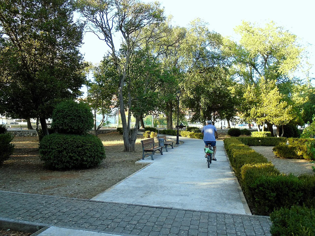 A tree-lined path through the town park in Blato on Korčula.