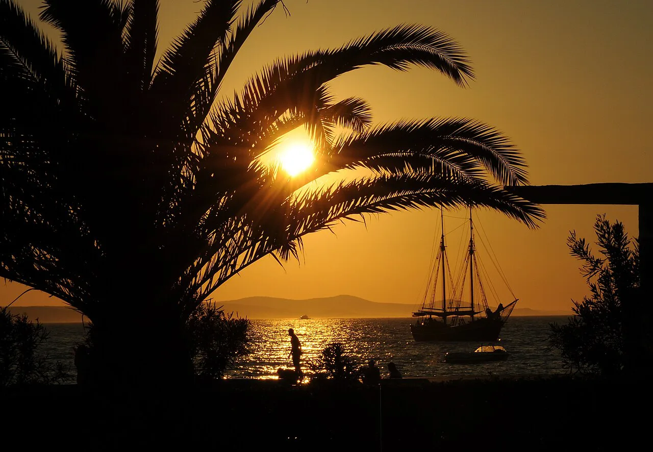 Sunset over the sea with a palm and a sailing ship in Borik, Zadar