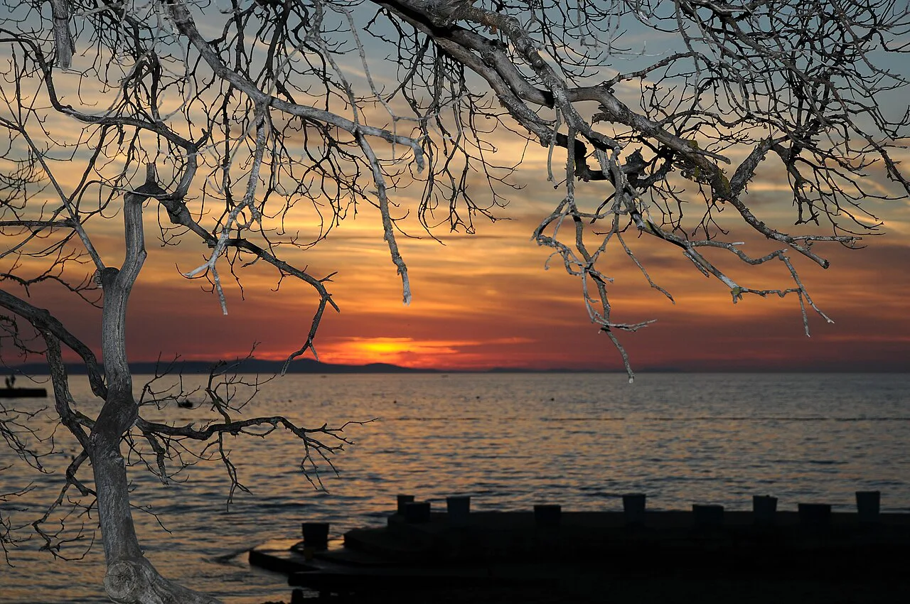 Sunset over the sea seen through tree branches at Borik in Zadar.