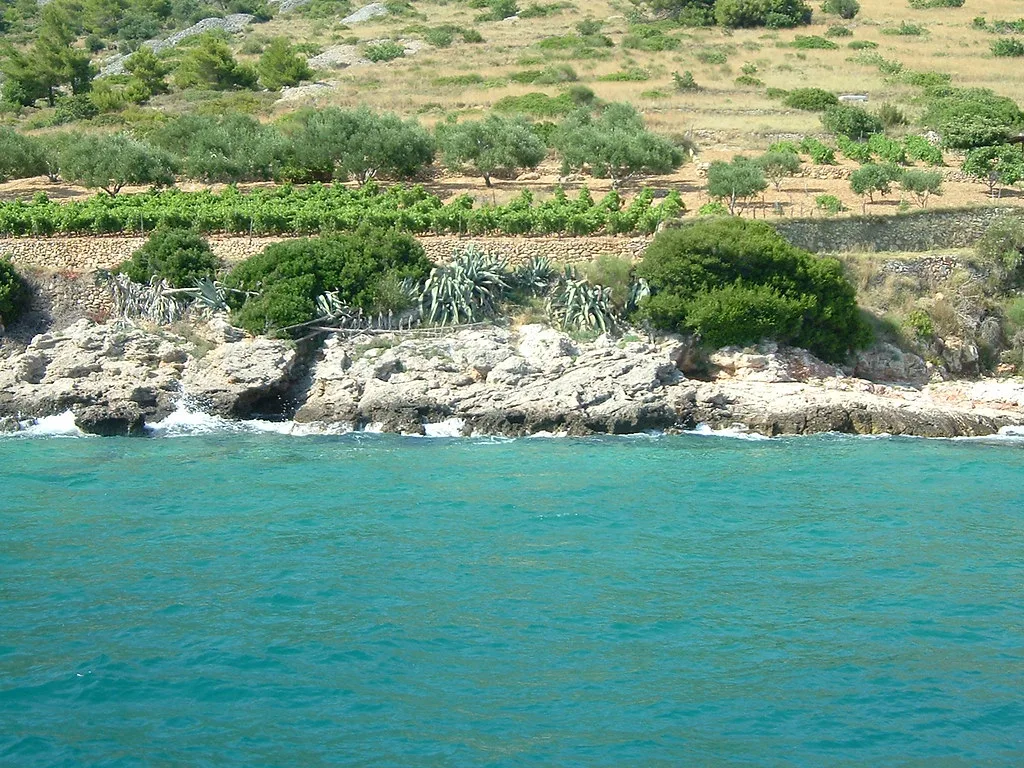 Terraced fields above a rocky shoreline and clear sea on the island of Brač