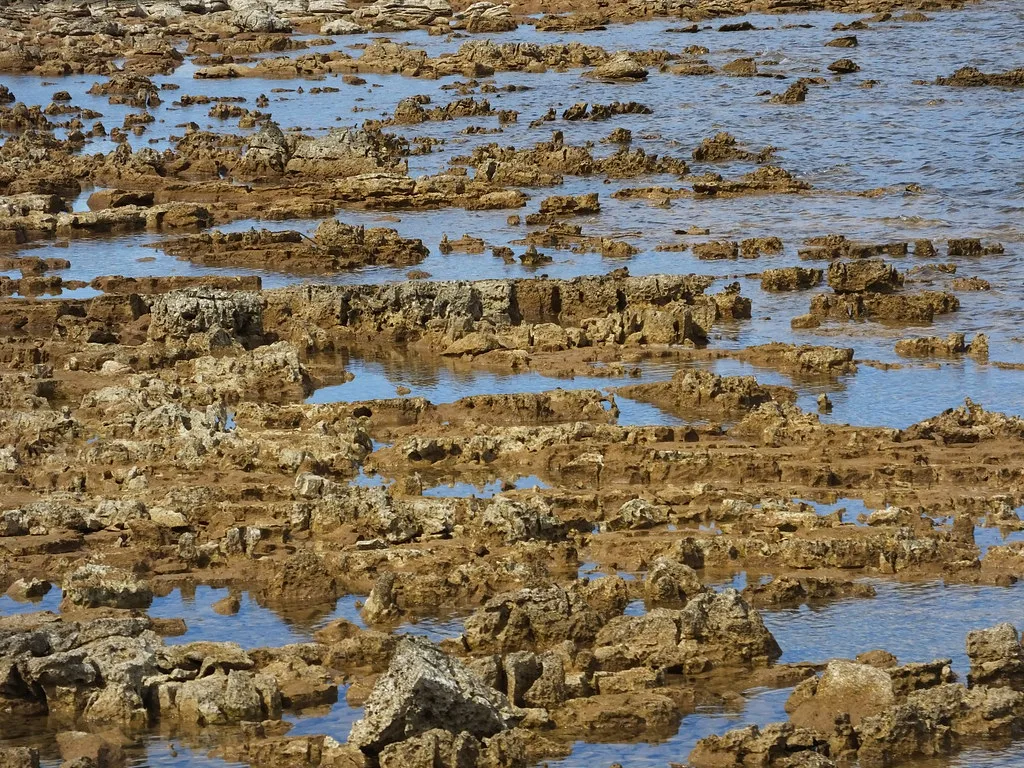 Rocky shoreline in Brijuni National Park, Croatia