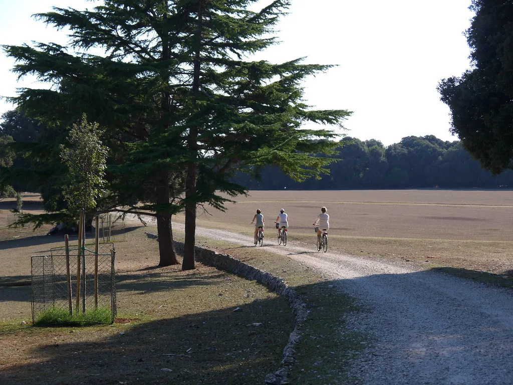 Cyclists on a path through the parkland of Brijuni National Park, Croatia