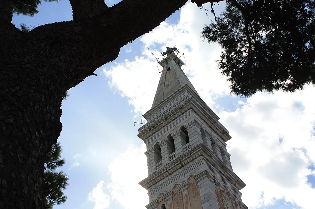 The bell tower of the Church of St Euphemia in Rovinj framed by pine branches.
