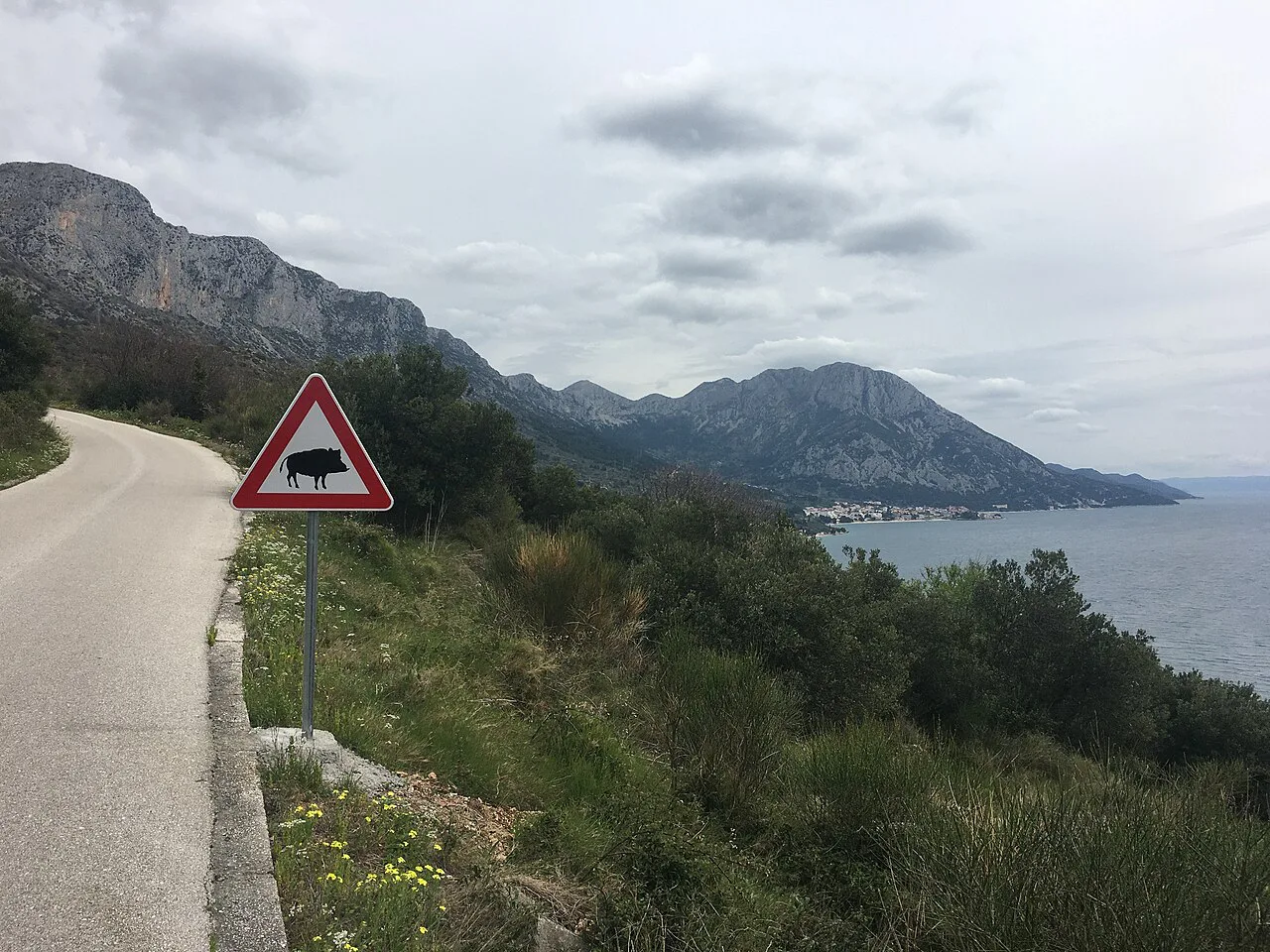 A coastal road with a warning sign above the sea in Croatia
