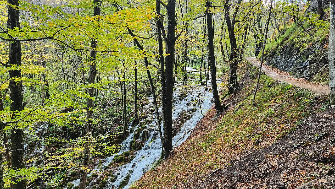 Autumn trees and a cascading stream beside a footpath at Plitvice Lakes, Croatia