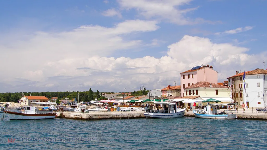 Fishing boats in front of the waterfront houses of Fažana, Istria