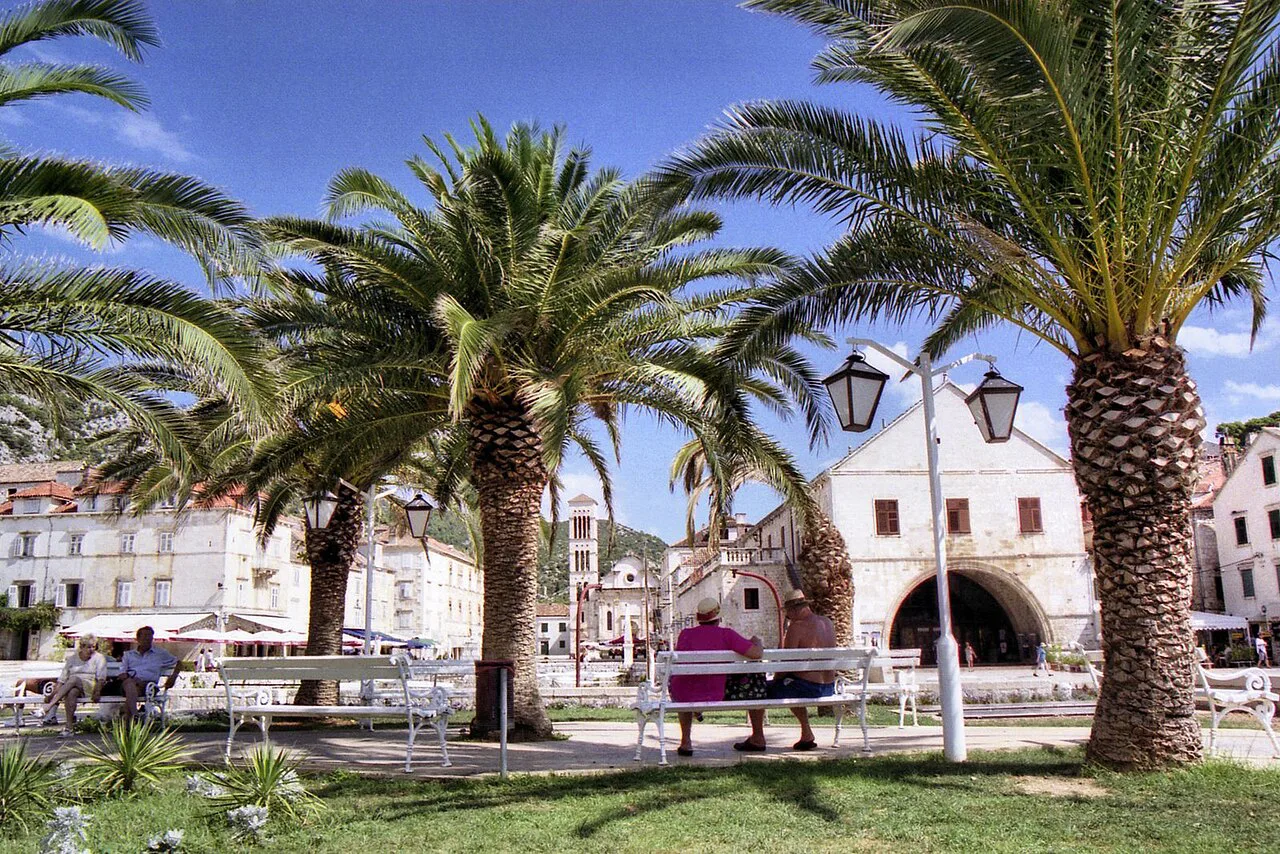 Palm trees on the main square of Hvar Town with the Arsenal in the background