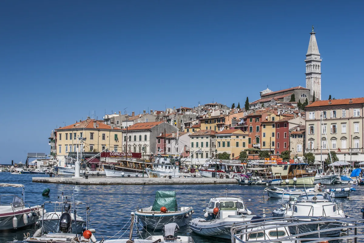Boats moored in Rovinj harbour below the old town and its bell tower
