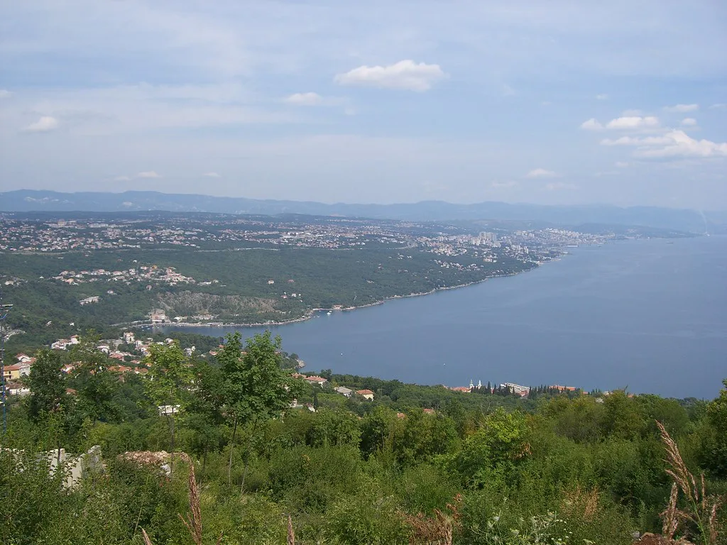 A wooded coastline and wide bay seen from a hillside in Istria.