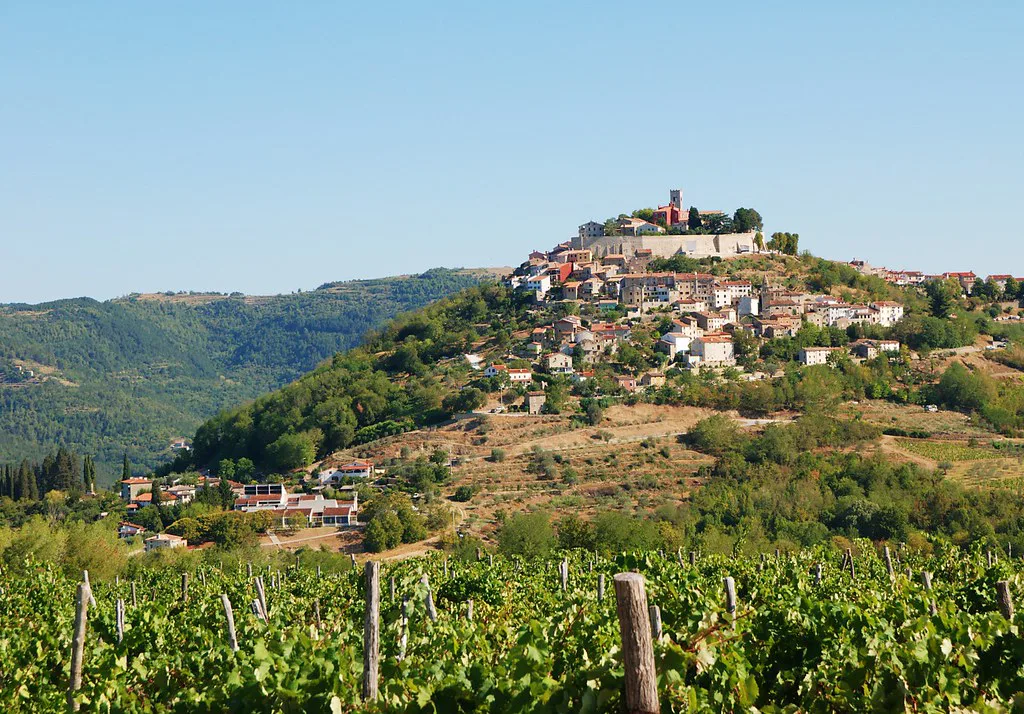 The hilltop town of Motovun above vineyards in central Istria.