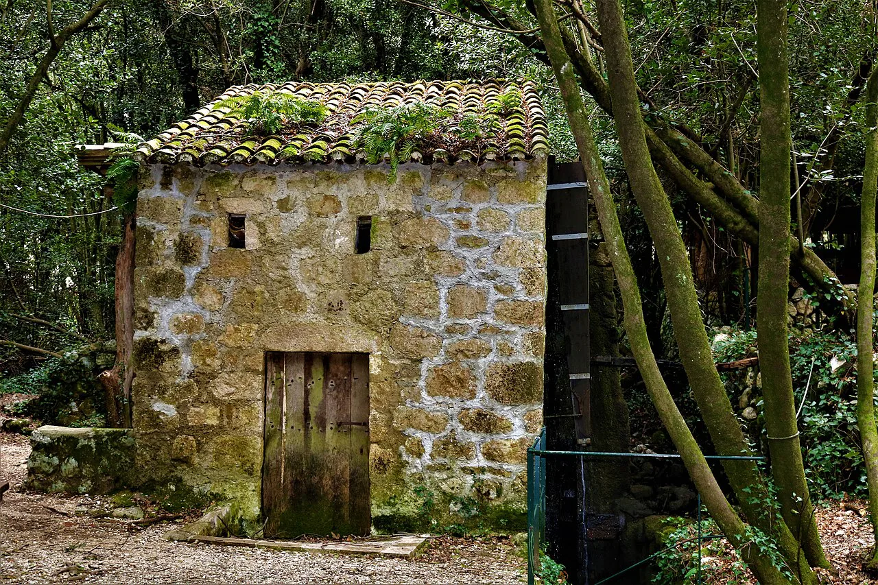 An old stone building among trees in Konavle, Southern Dalmatia