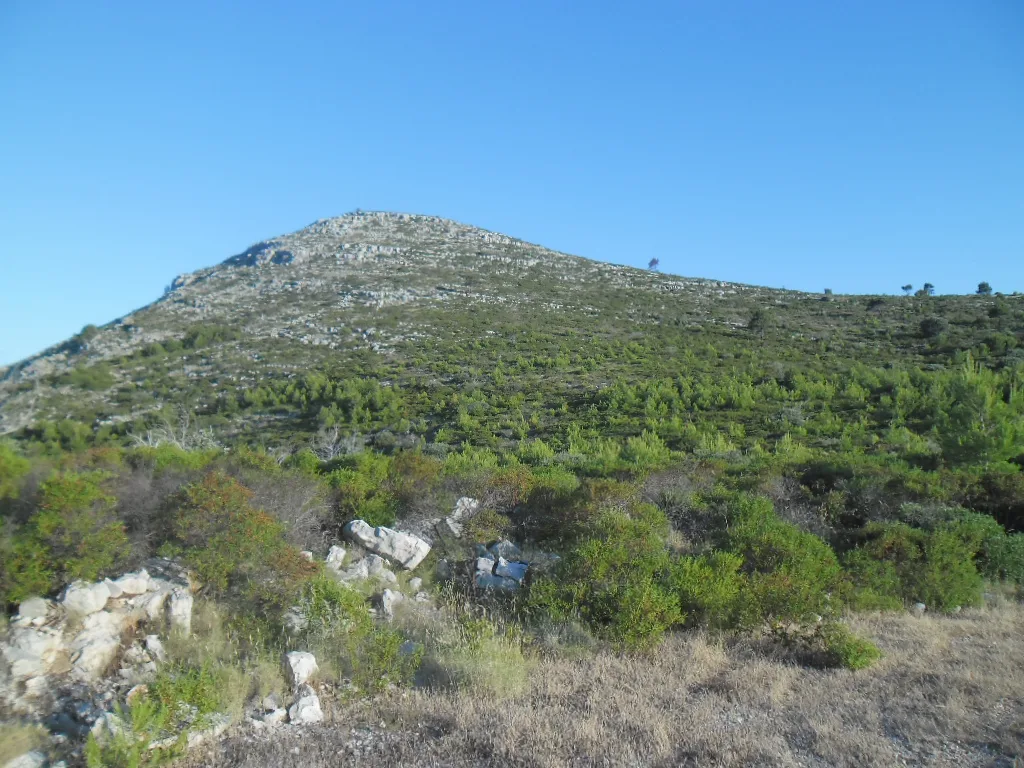 A scrub-covered hillside on the island of Lastovo.