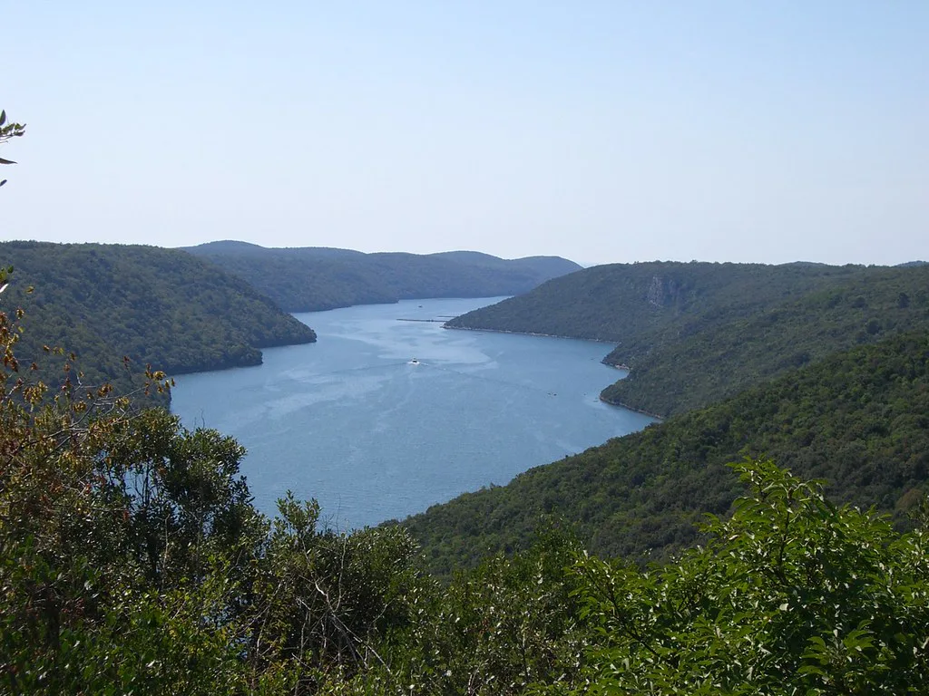 The Lim Fjord winding between wooded hills in western Istria