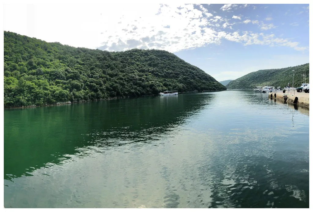 Calm green water between forested slopes in the Lim Fjord, Istria