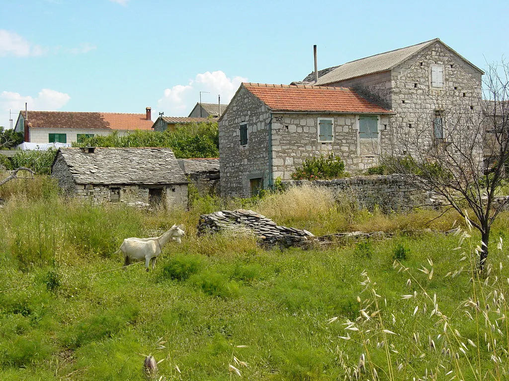 Old houses built of Brač stone in a grassy field at Milna