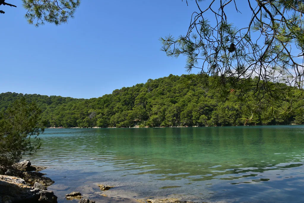 Wooded lake shore in Mljet National Park, Croatia