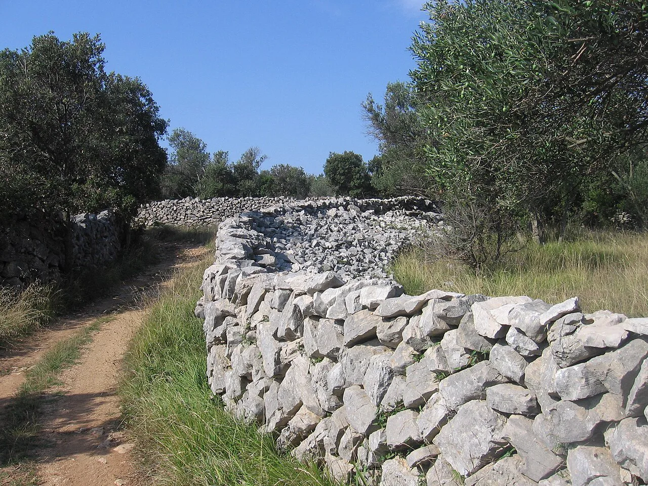 A footpath beside a dry stone wall on the outskirts of Olib village, Zadar