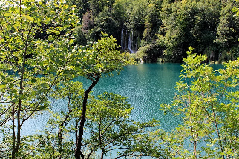 A turquoise lake framed by trees in Plitvice Lakes National Park
