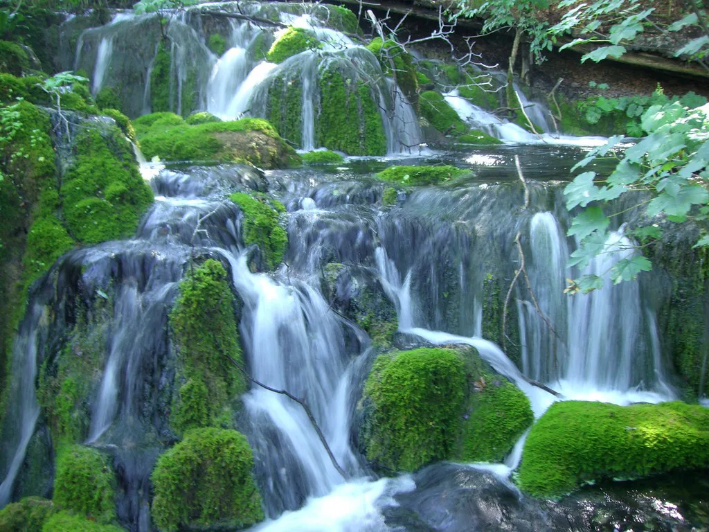 Water cascading over mossy rocks at Plitvice Lakes