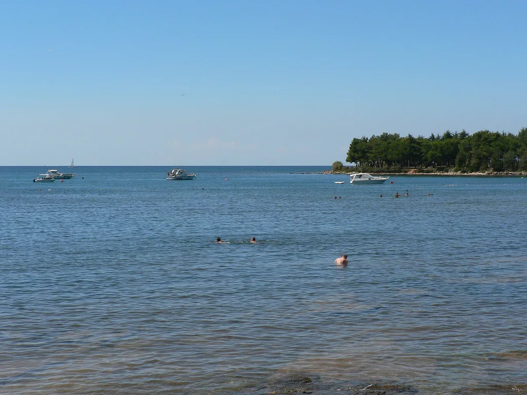 Swimmers in calm water along the coast just north of Poreč