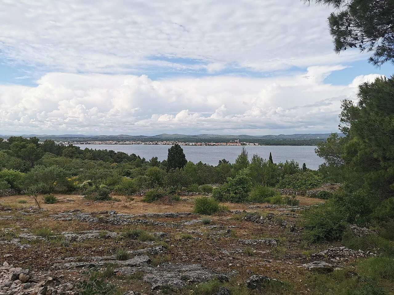 Shrubland on the island of Prvić with the sea and Srima beyond, Šibenik