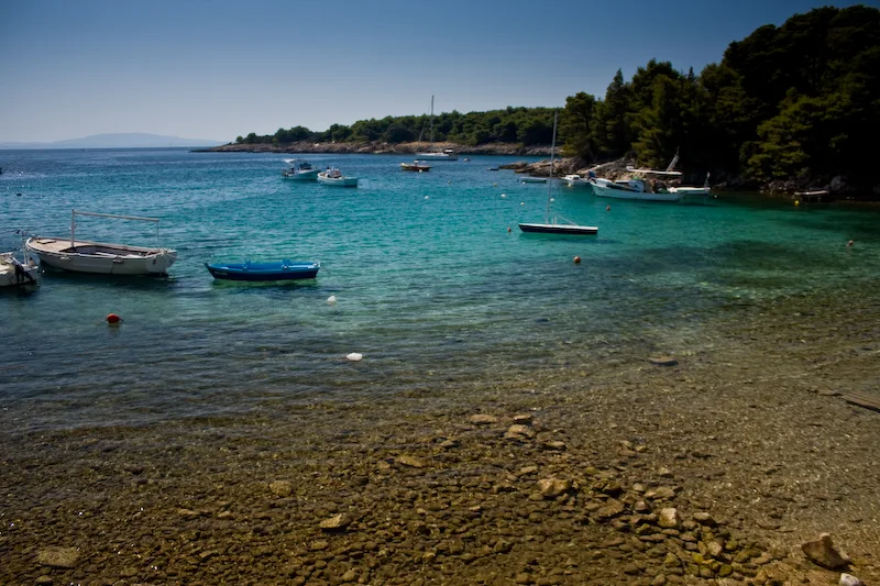Small boats moored in a pine-fringed bay on the island of Rab, Kvarner