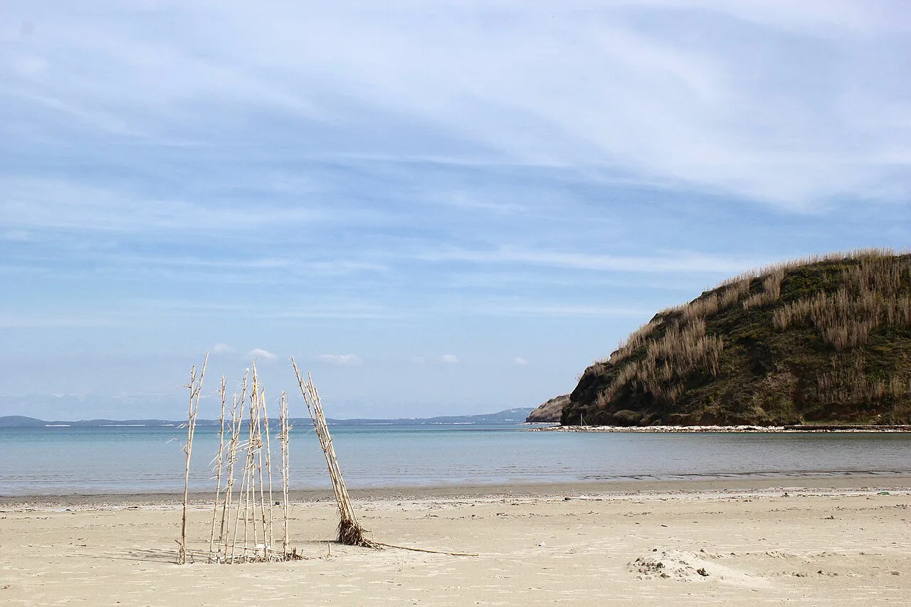 Dry canes on a sandy beach on the island of Susak, Kvarner