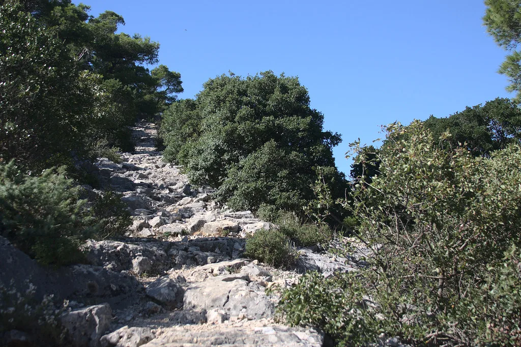 A rocky hiking path through woodland on the island of Ugljan, Zadar