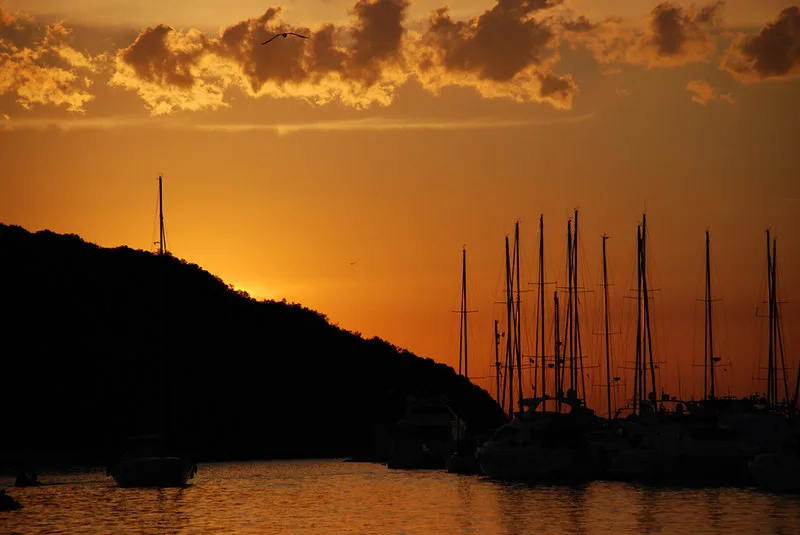 Sailing boat masts silhouetted against a sunset at the marina in Vrsar, Istria